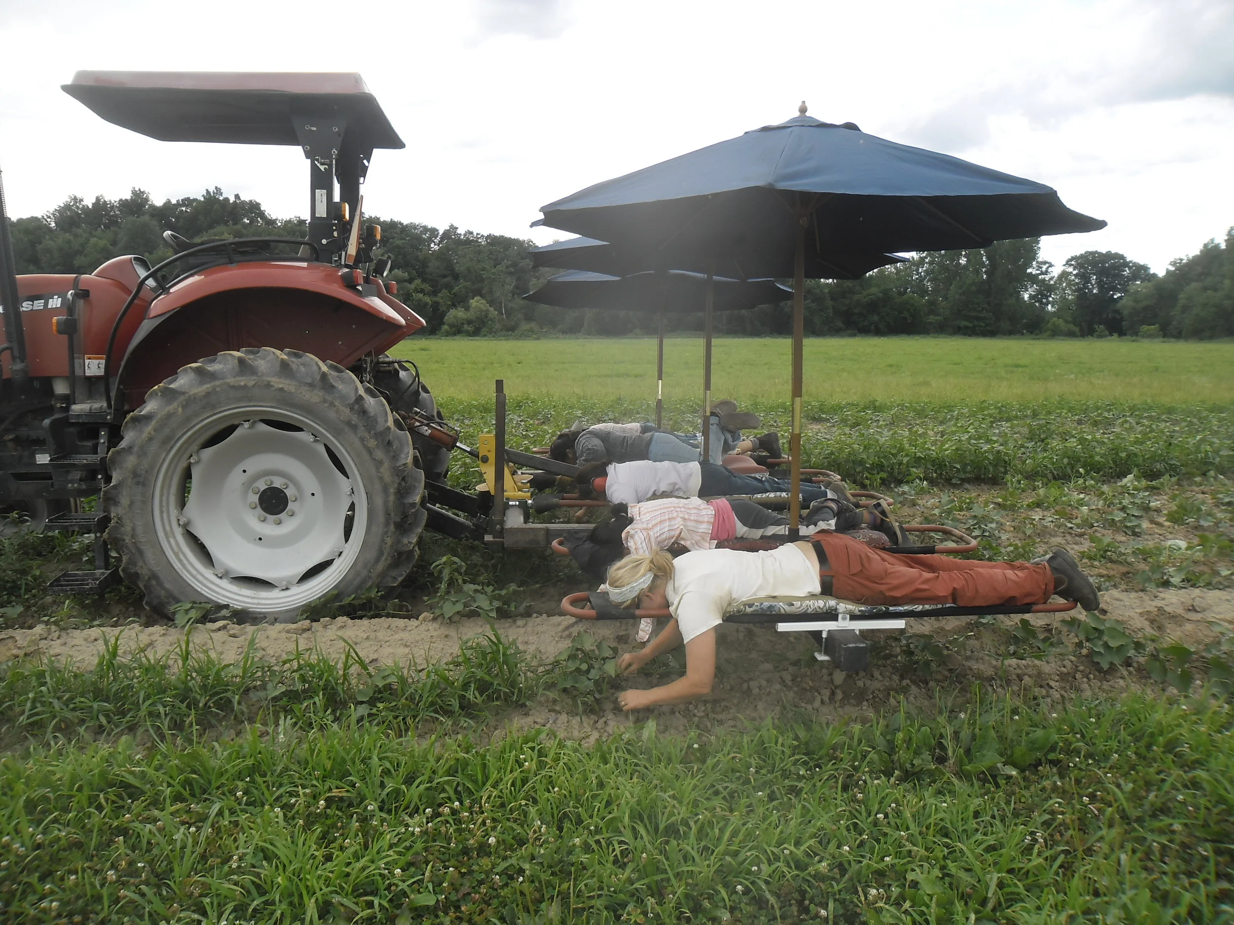 The "Bed Weeder" at Roxbury Farm NY&nbsp;