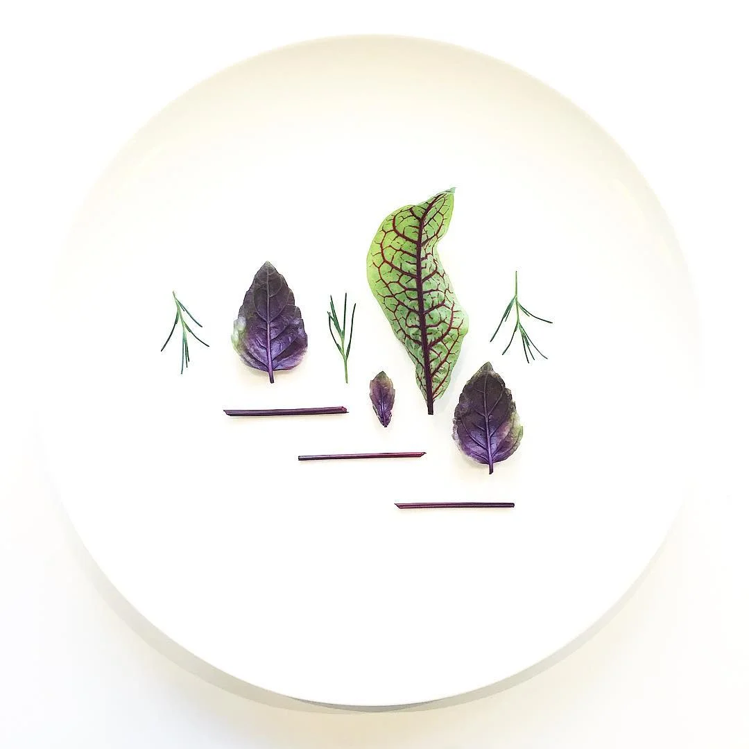 Farm.One's Red Rubin Basil, Saltwort, Red Veined Sorrel &amp; Stems | Image Source: @farm.one