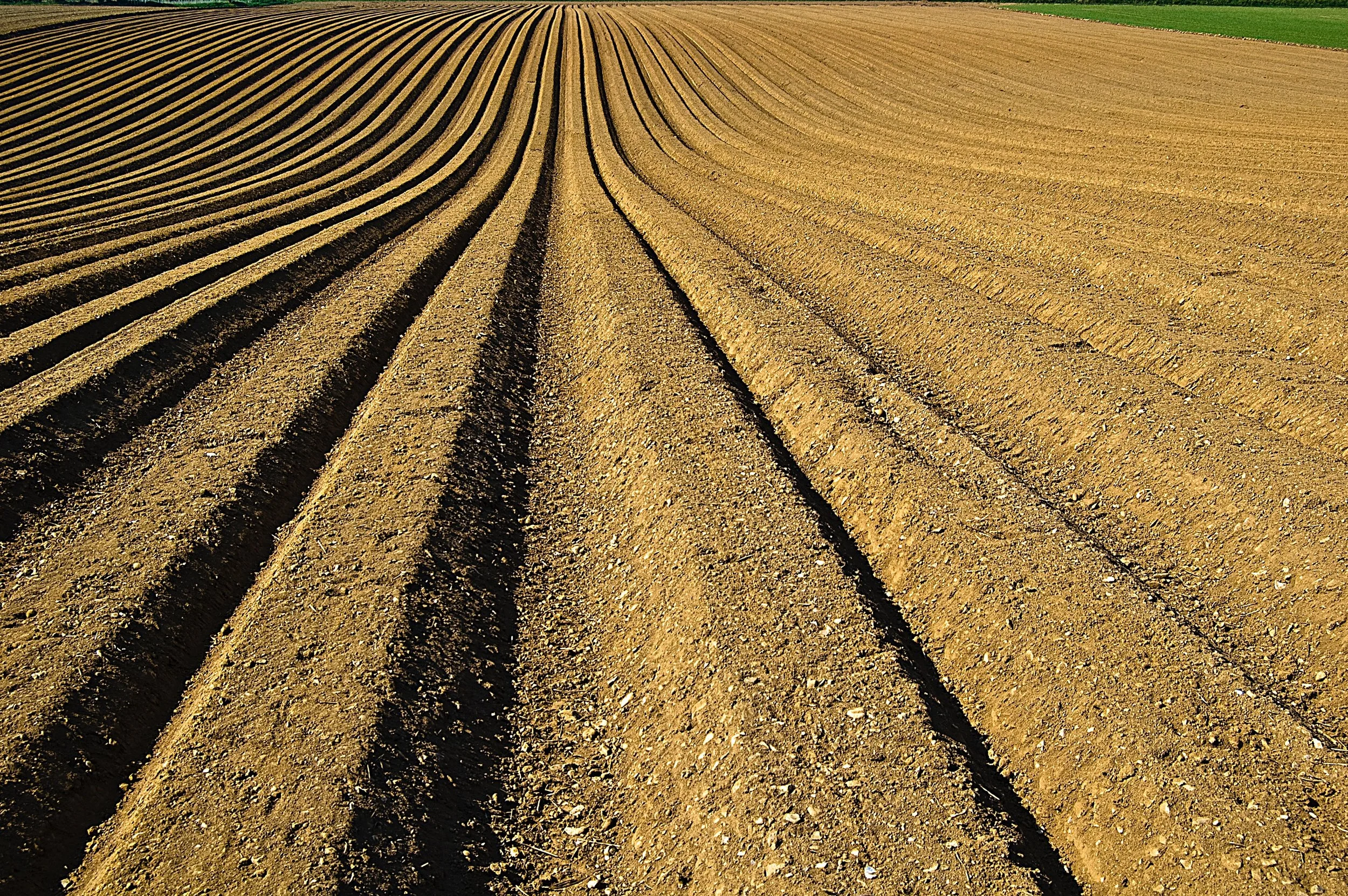 Conventional-Tillage.jpg