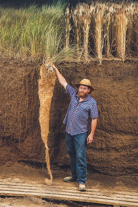 Kernza farmer displaying its long roots next to conventional wheat | Image courtesy of Jim Richardson