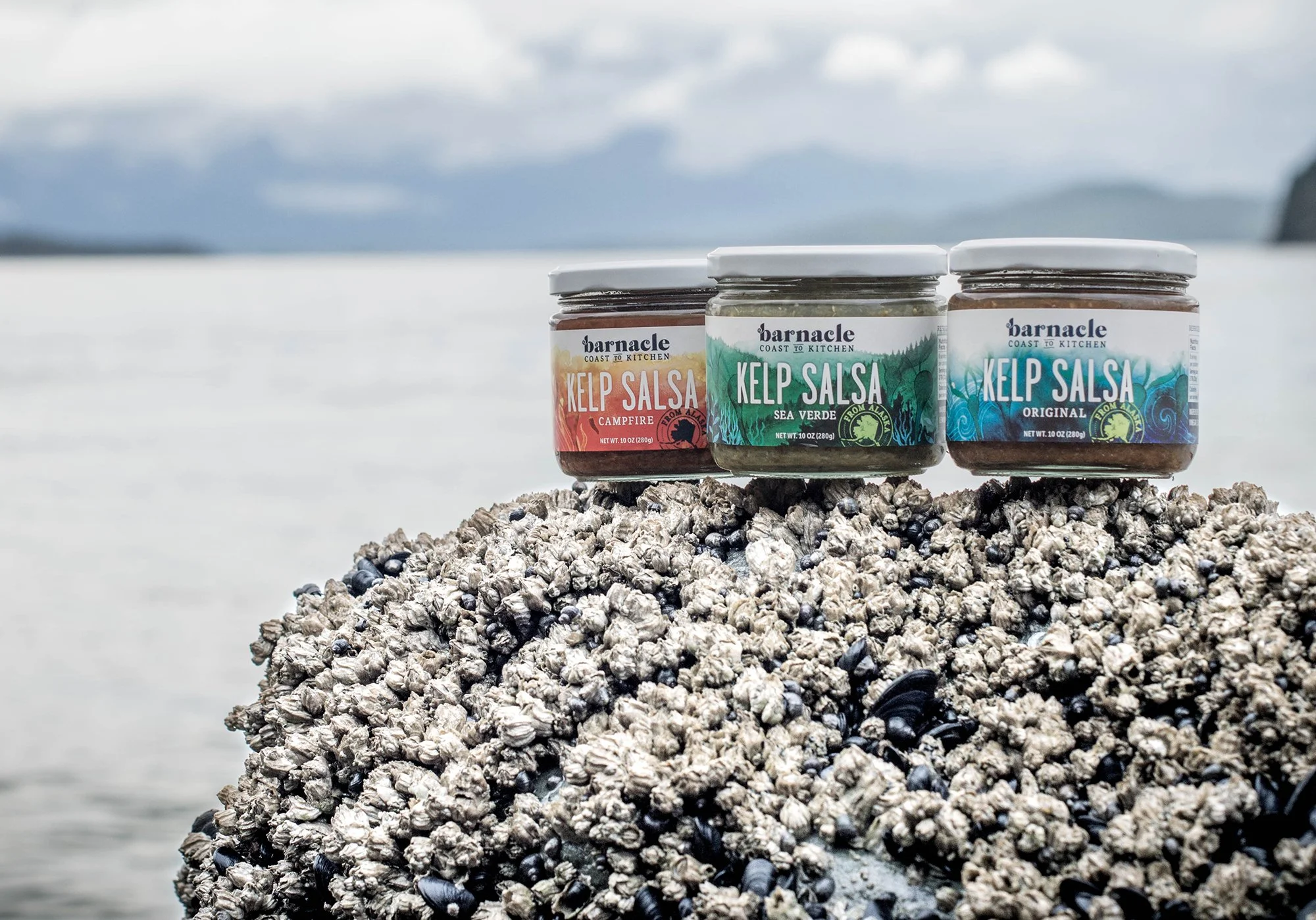 Barnacle Foods.jpg