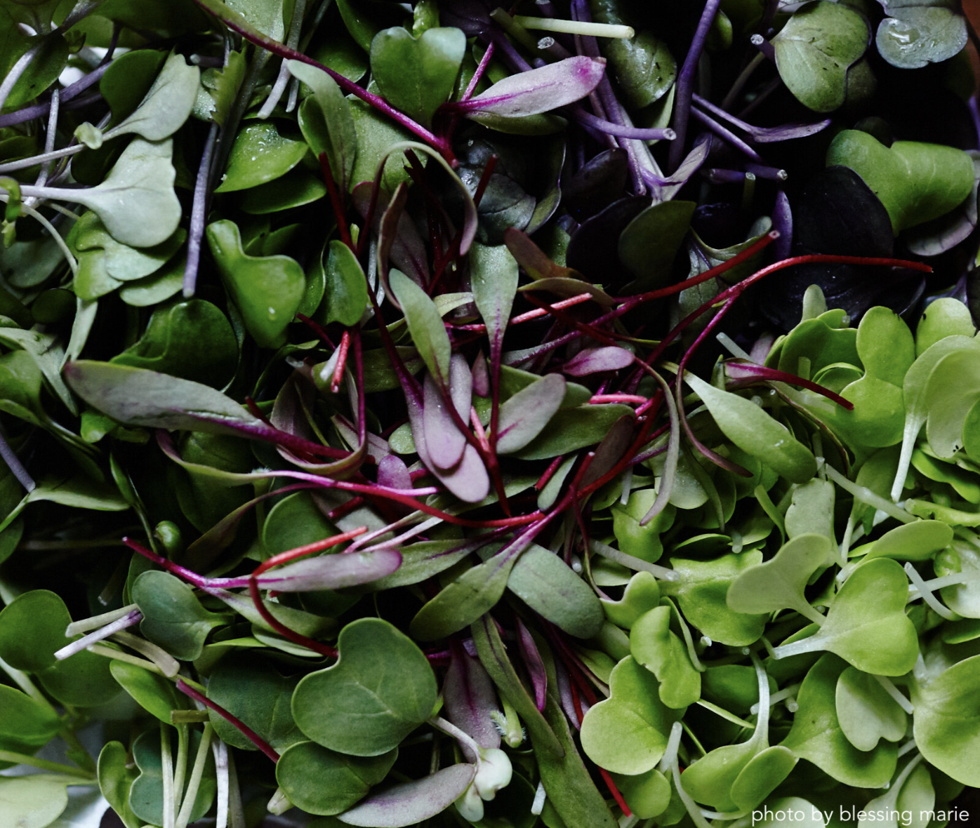 Screen Shot 2020-10-05 at 4.09.02 PM.png