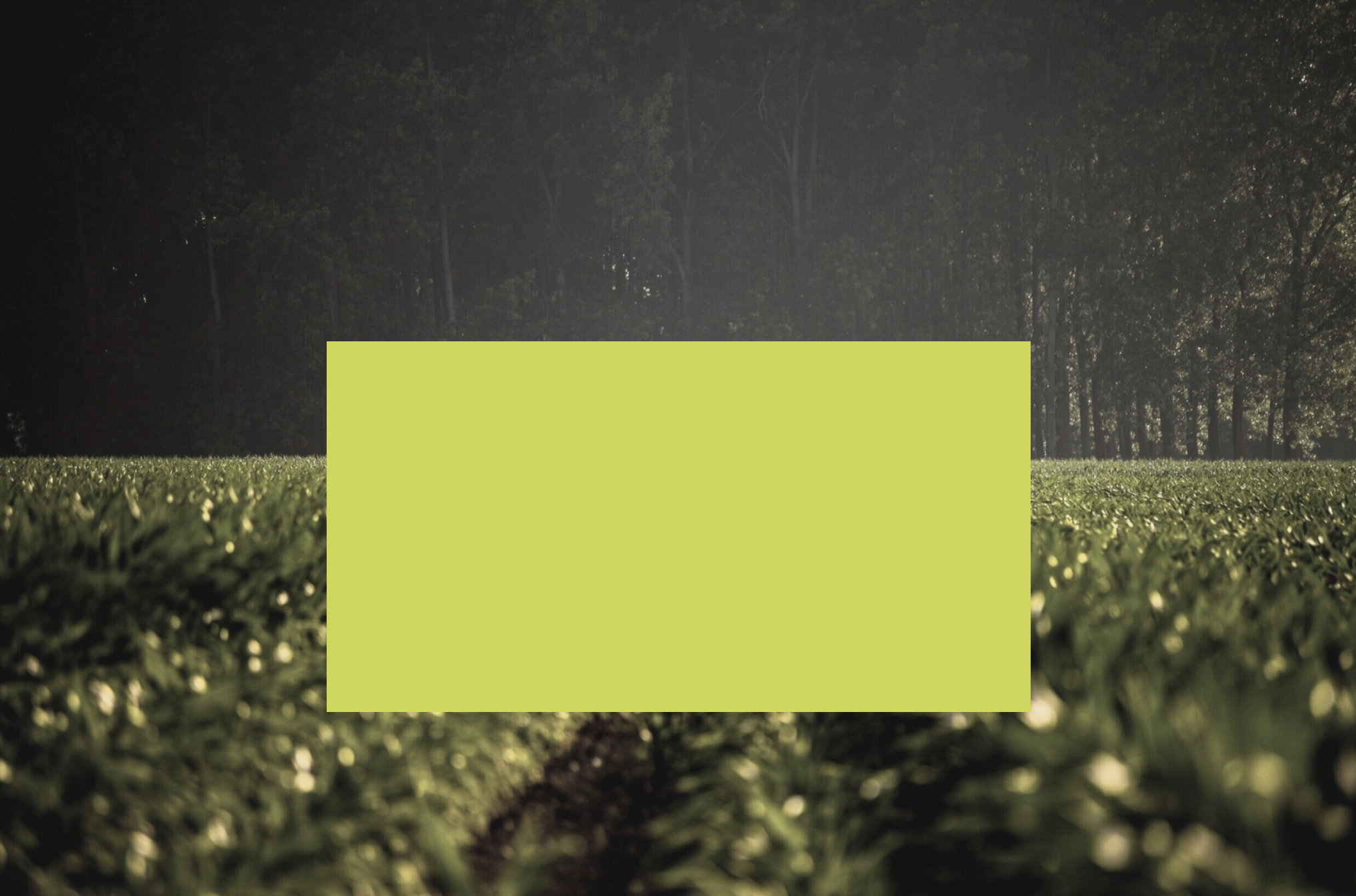 Screen Shot 2020-11-16 at 12.35.39 PM.png