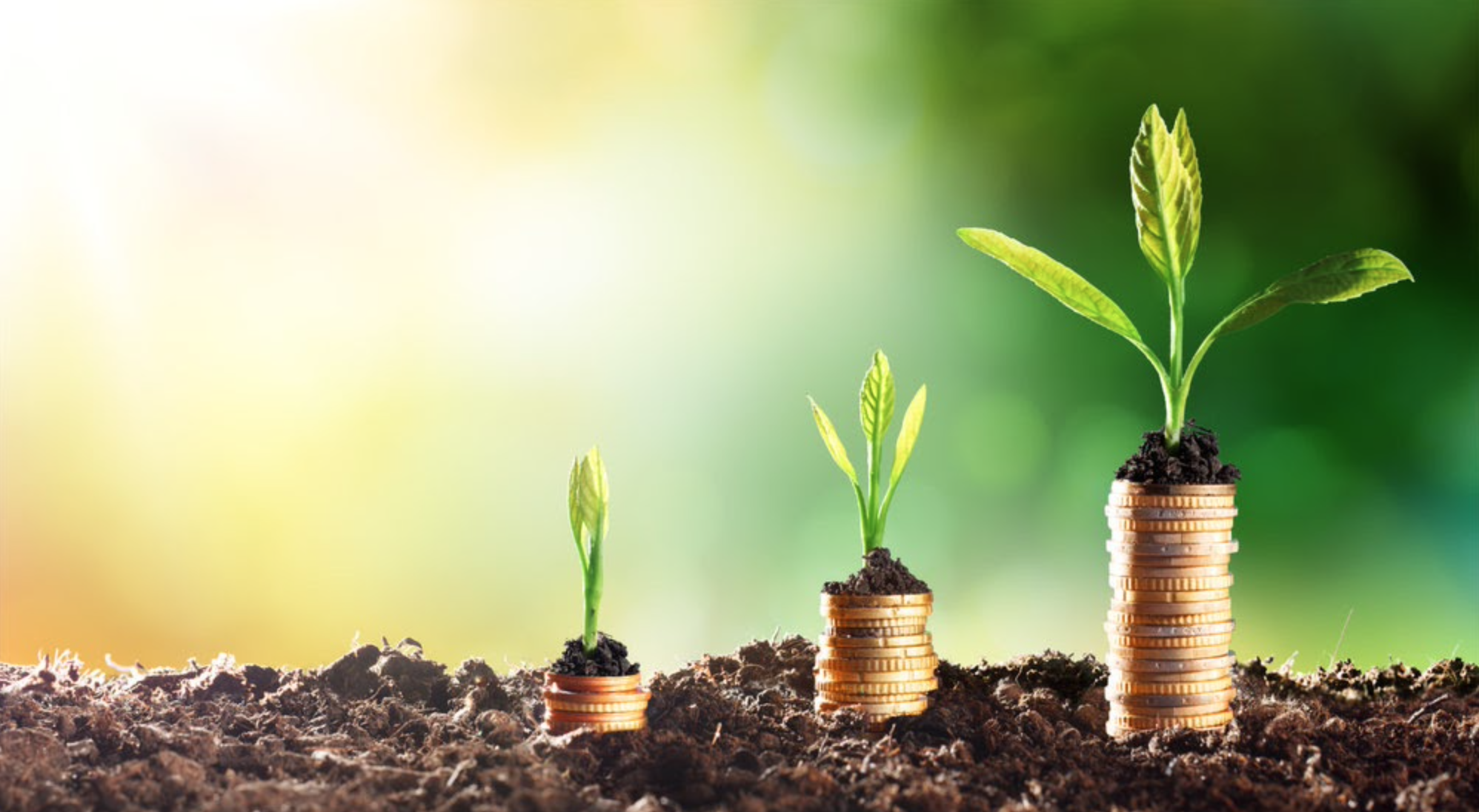 Screen Shot 2021-09-03 at 3.40.02 PM.png