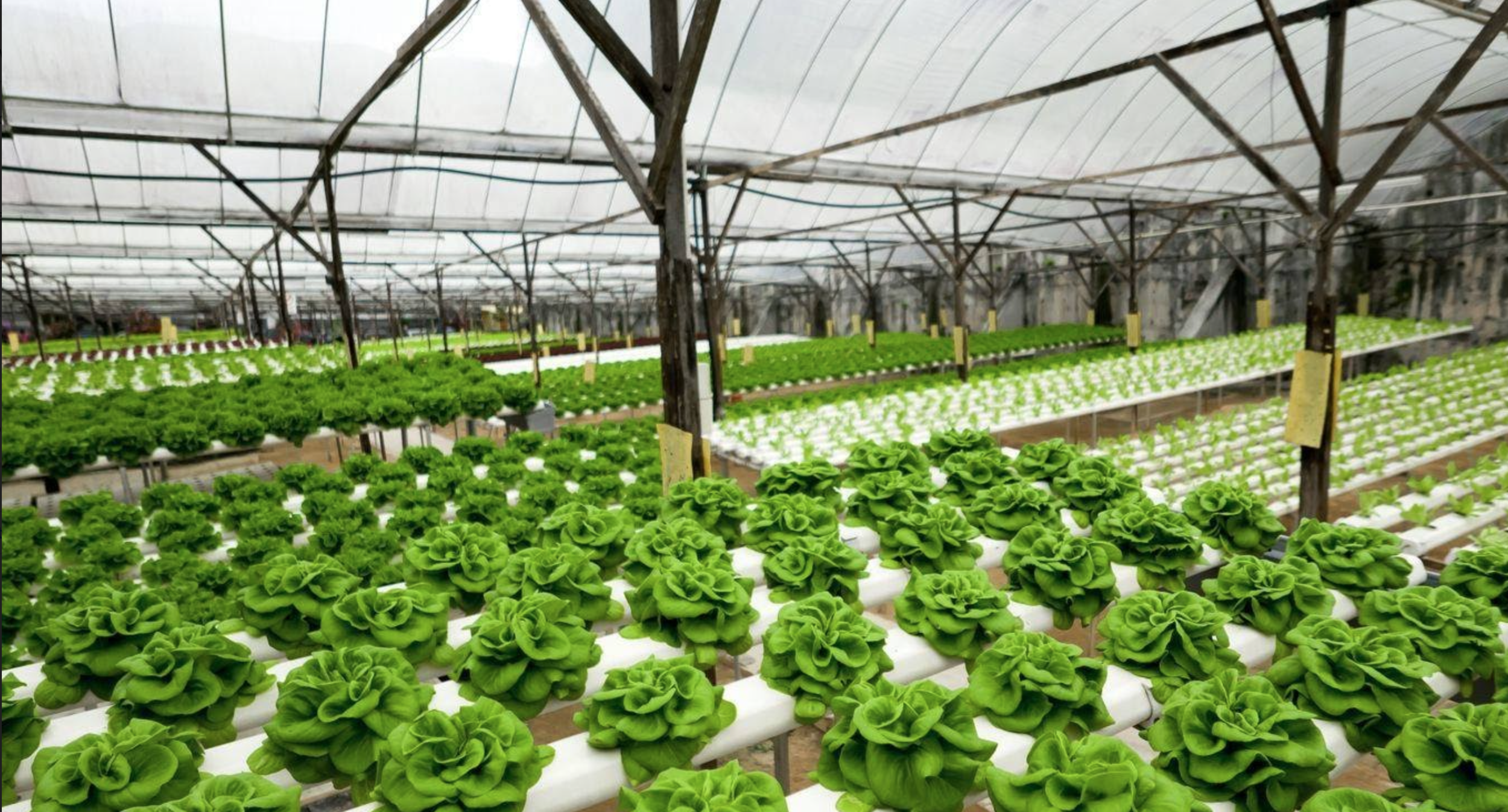 Screen Shot 2021-09-03 at 4.05.32 PM.png