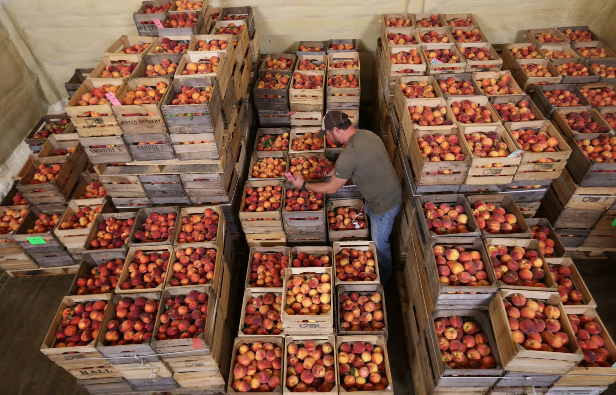 Screen Shot 2021-09-07 at 9.43.06 PM.png