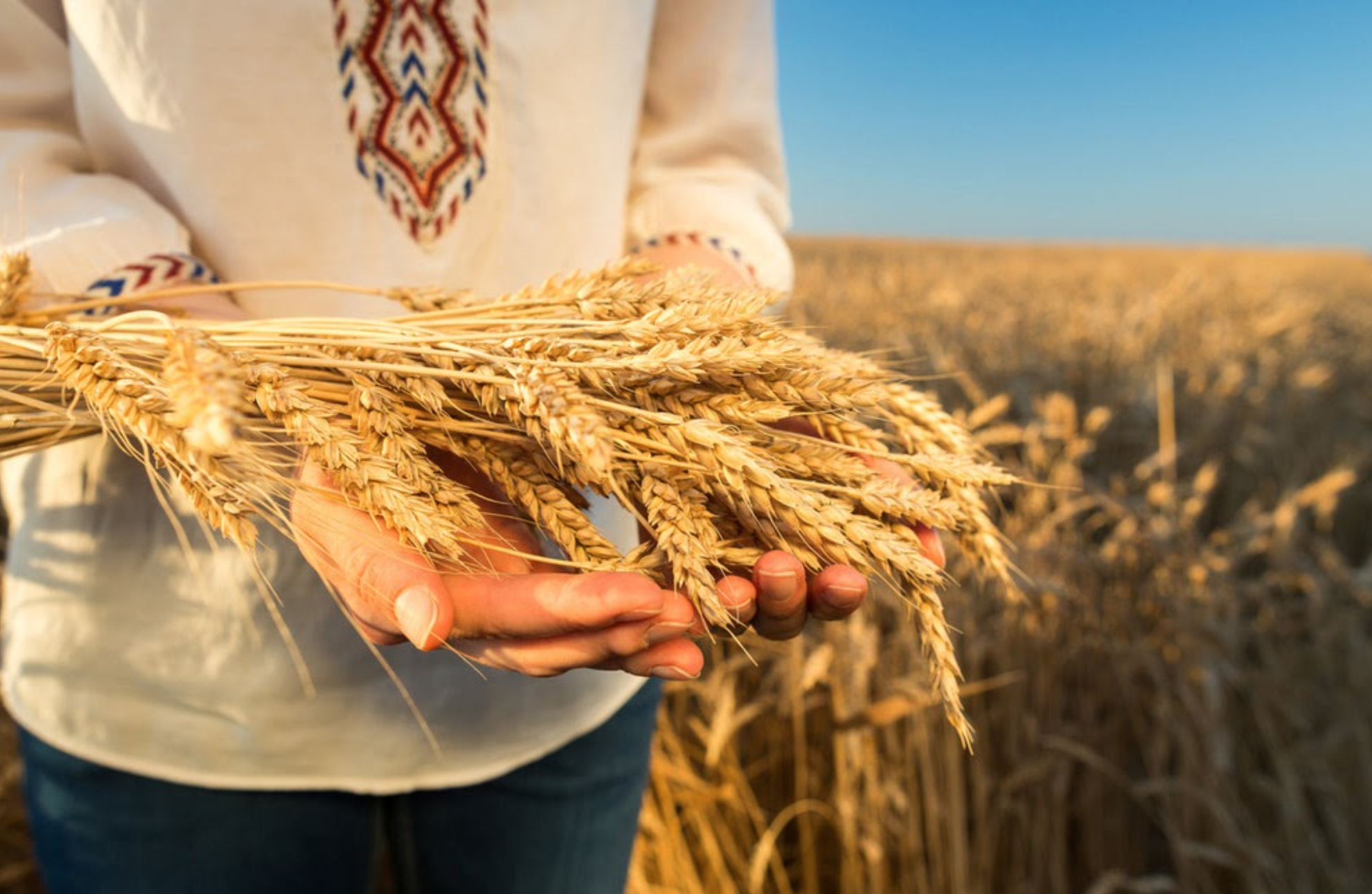 Screen Shot 2021-09-07 at 10.07.49 PM.png