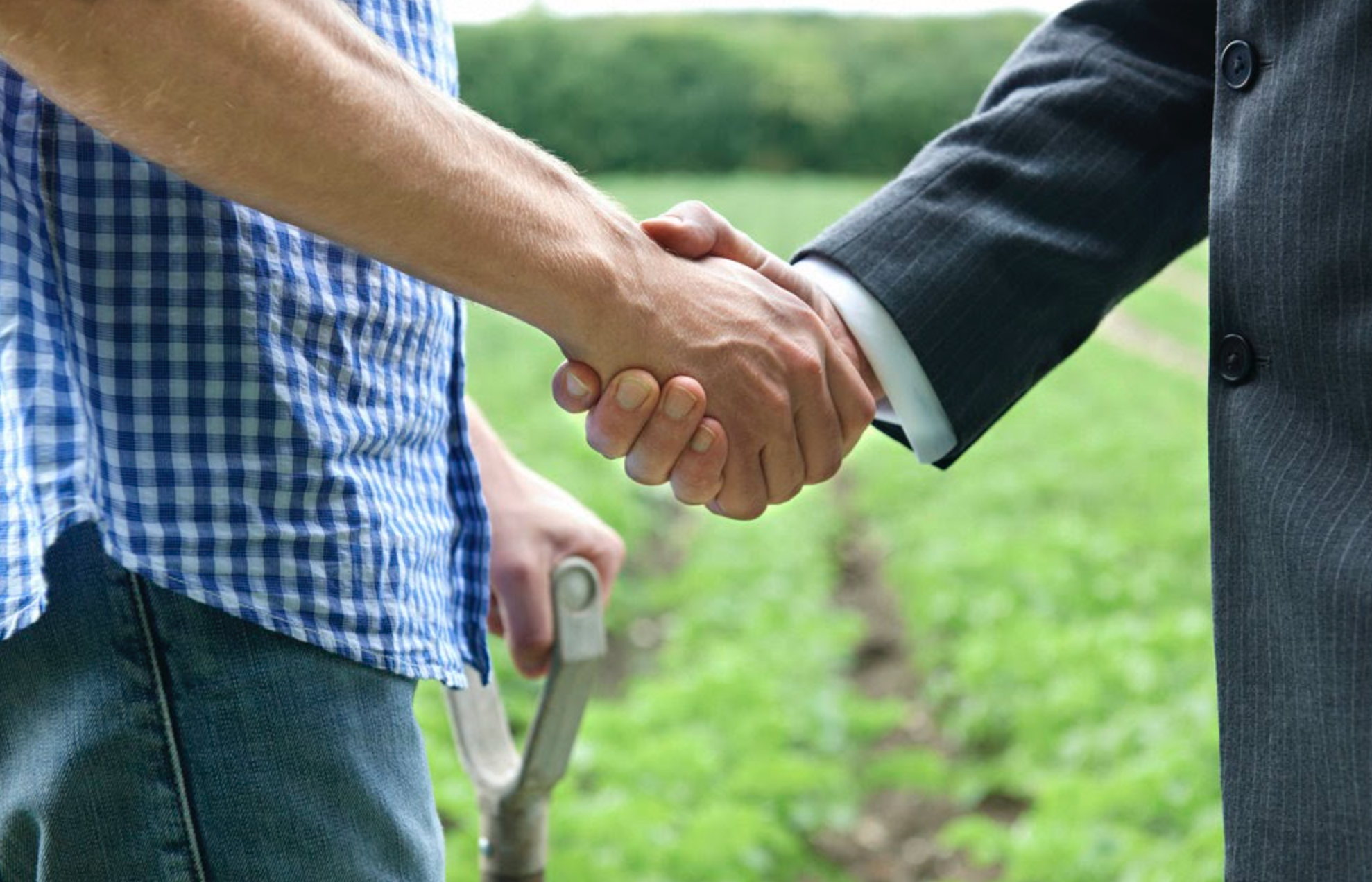 Screen Shot 2021-09-07 at 10.35.23 PM.png