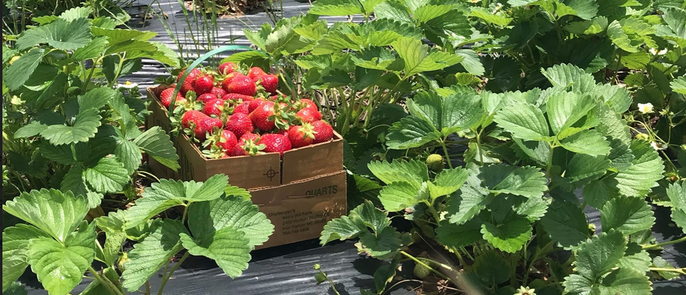 Screen Shot 2021-10-08 at 2.10.42 PM.png