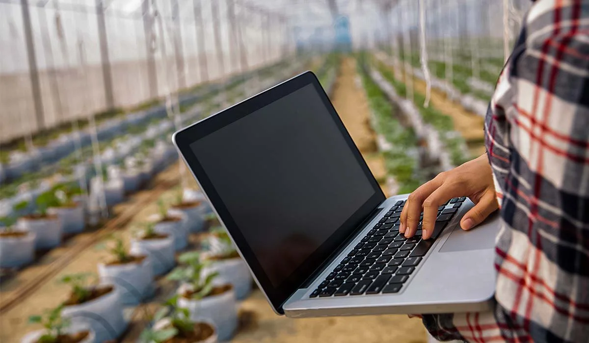 What are the First-Year Challenges of a Food Business?