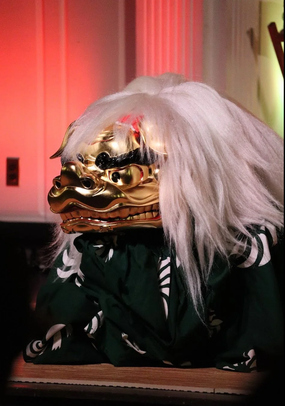 Shishi face forward.jpeg