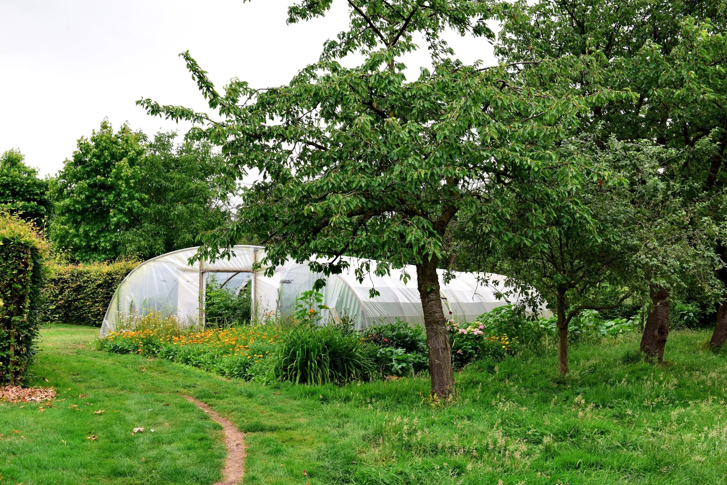 11 chef's table restaurant tuin.jpg