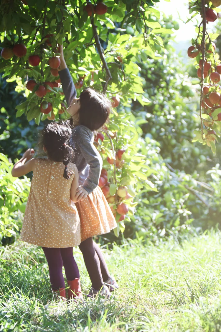 Apple+Picking+in+New+York+|+Petit+Patch+|+European+Kids+Brand-6.jpeg