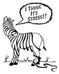 stress2.jpg
