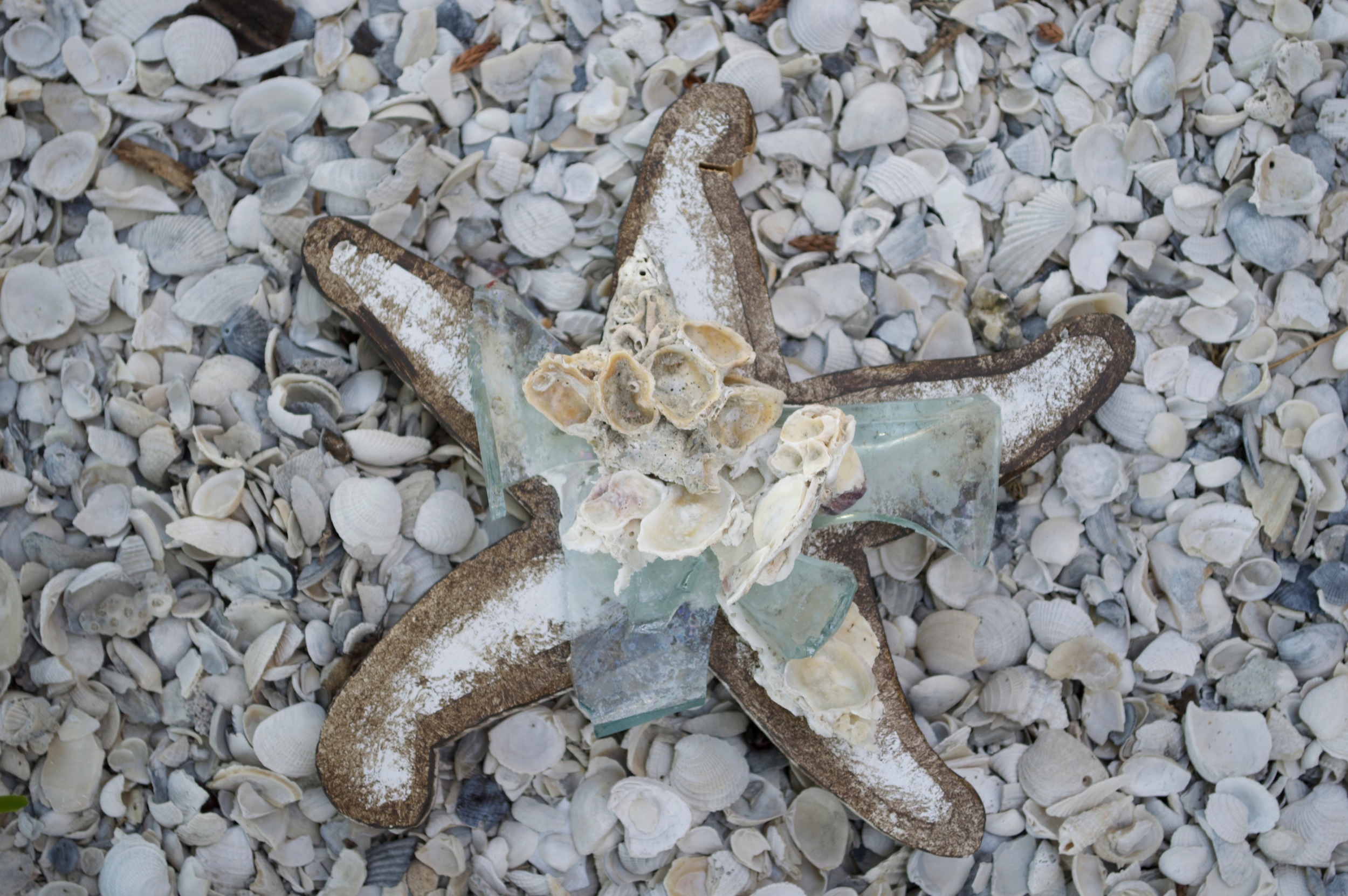 Beach Art - Med. Star Fish - wood, glass, shells - 1" thick, 8" wide - $24