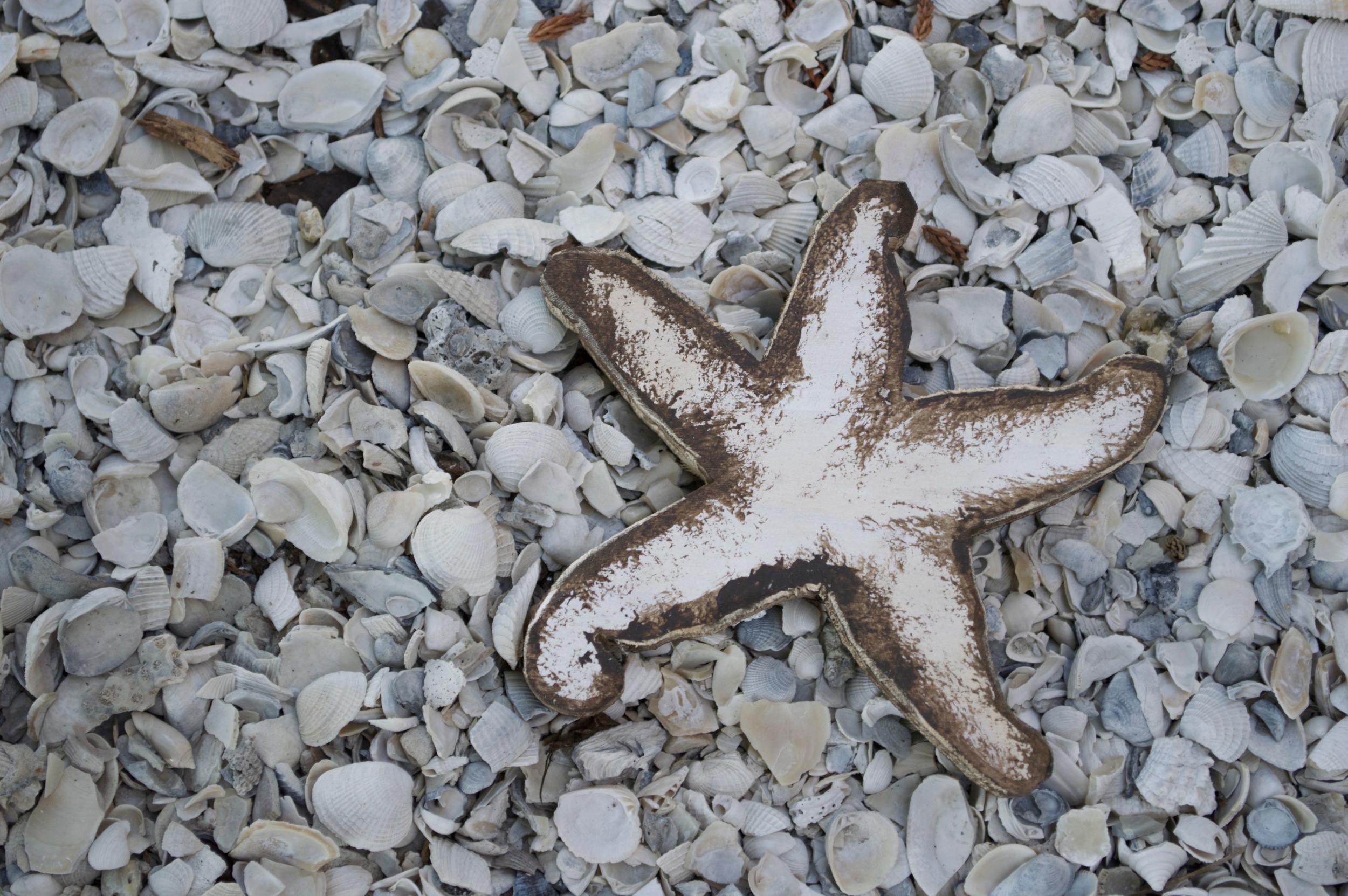 Beach Art - Sm. Star Fish (plain) - wood, shells - 3/4" thick, 5" wide - $10