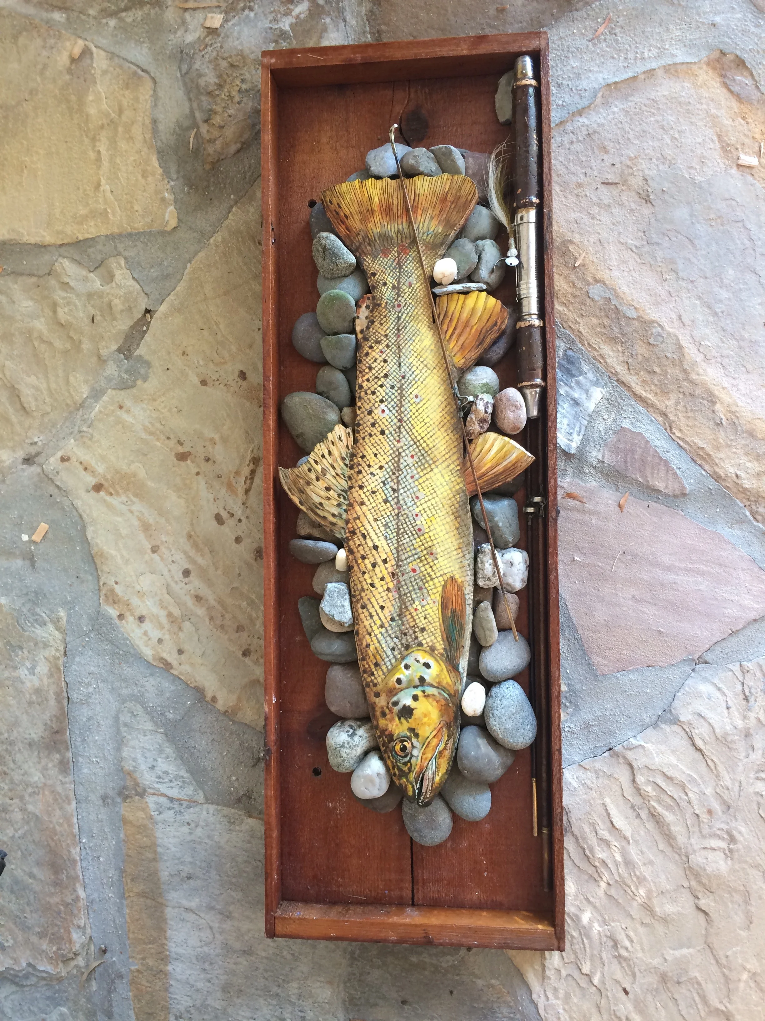 Brown Trout in vintage wood box and bamboo fly rod on river rock, 20"x32" SOLD