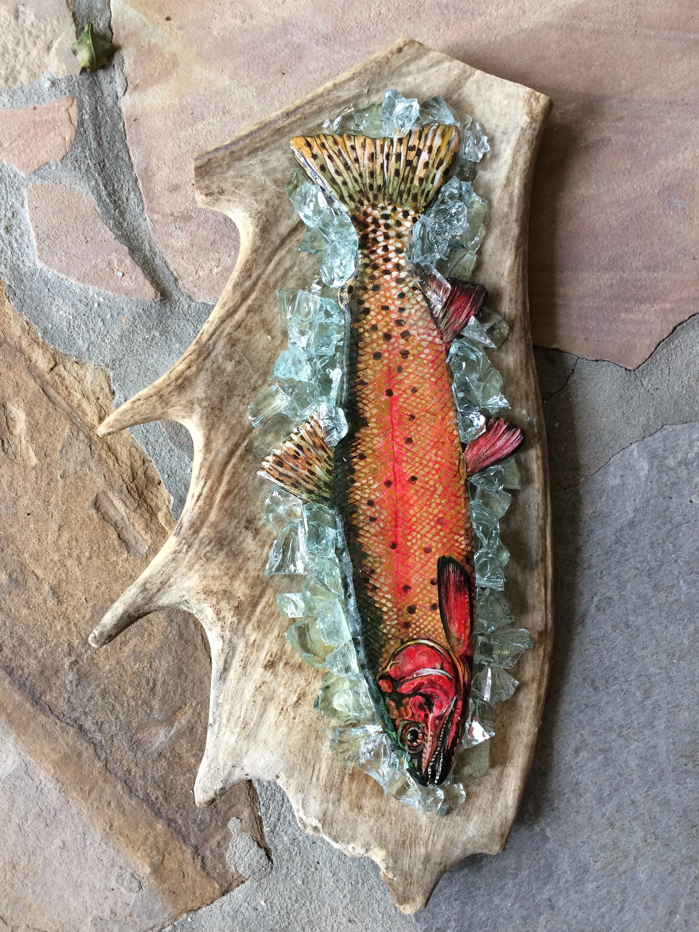 Greenback Cutthroat Trout - SOLD