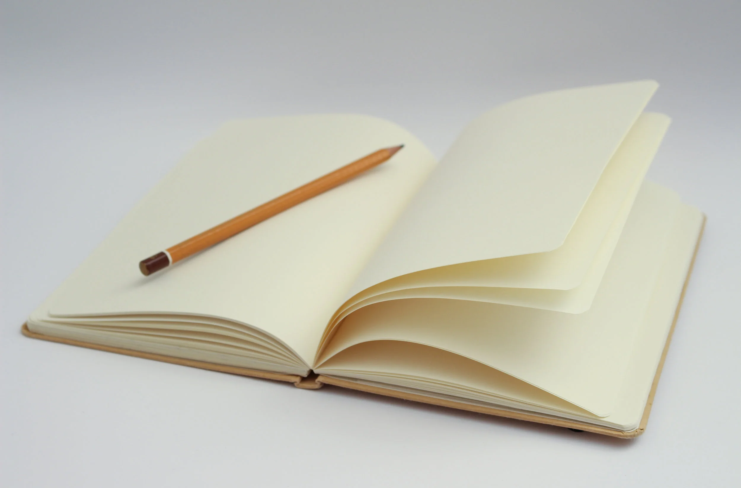 The Adrenal Thyroid Revolution Book Review