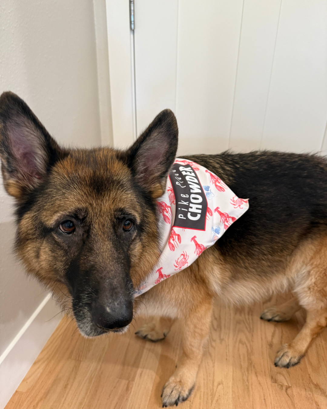 merch for website size (29).png