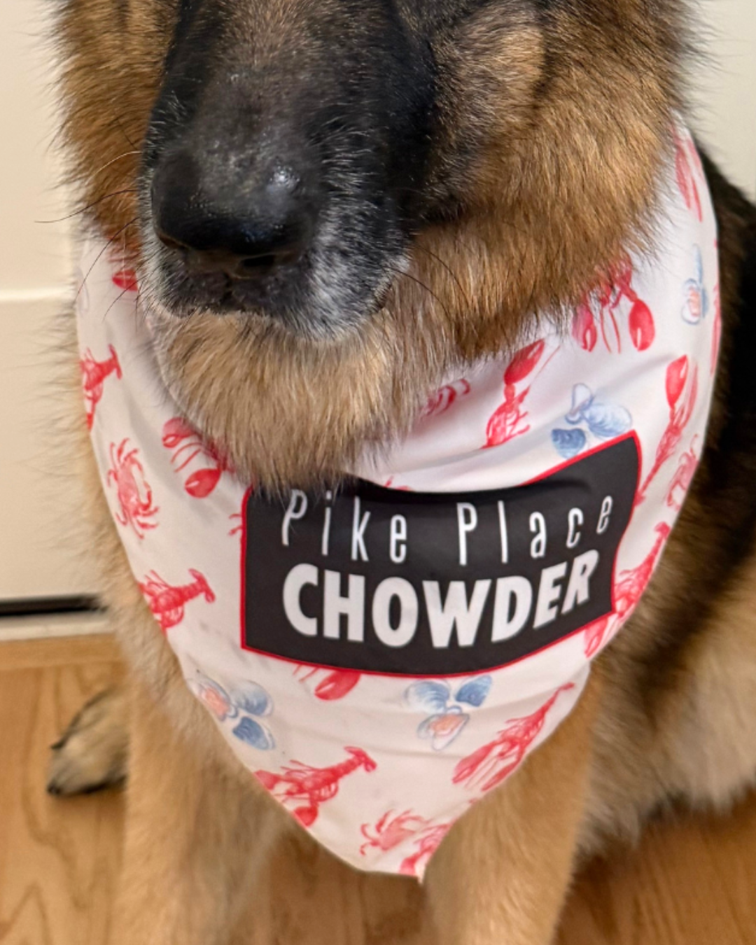 merch for website size (31).png