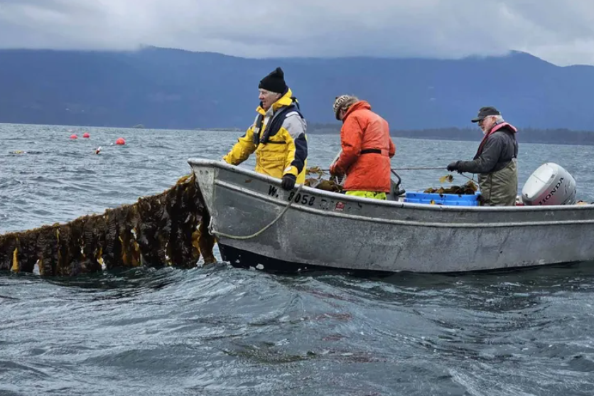 Seattle Times: Carrying Forward a Better Future for Salmon, Orcas &amp; Seafood