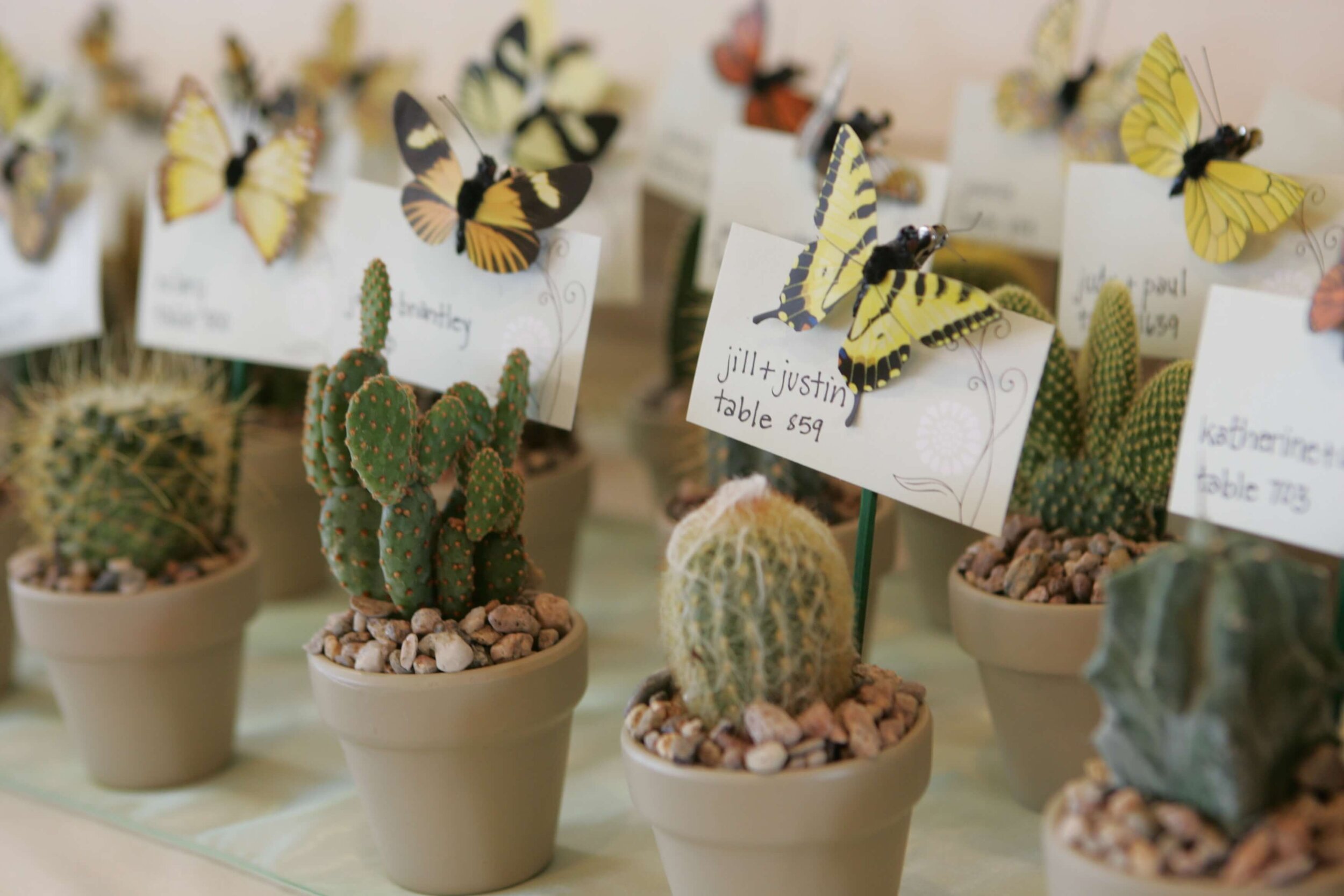 Cactus theme escort cards for wedding.