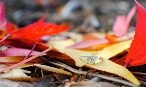 Jessi & Andrew Are Engaged! Adorable Couple, Great Story & Stunning Photos!