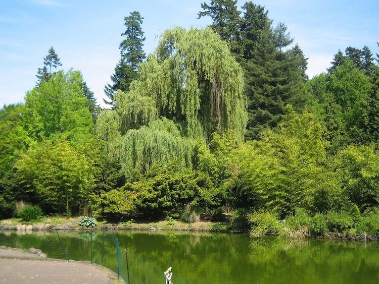 11 Romantic Places to Propose Near Portland