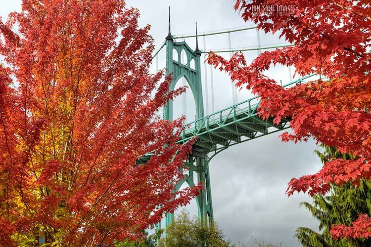 11 Romantic Places to Propose Near Portland