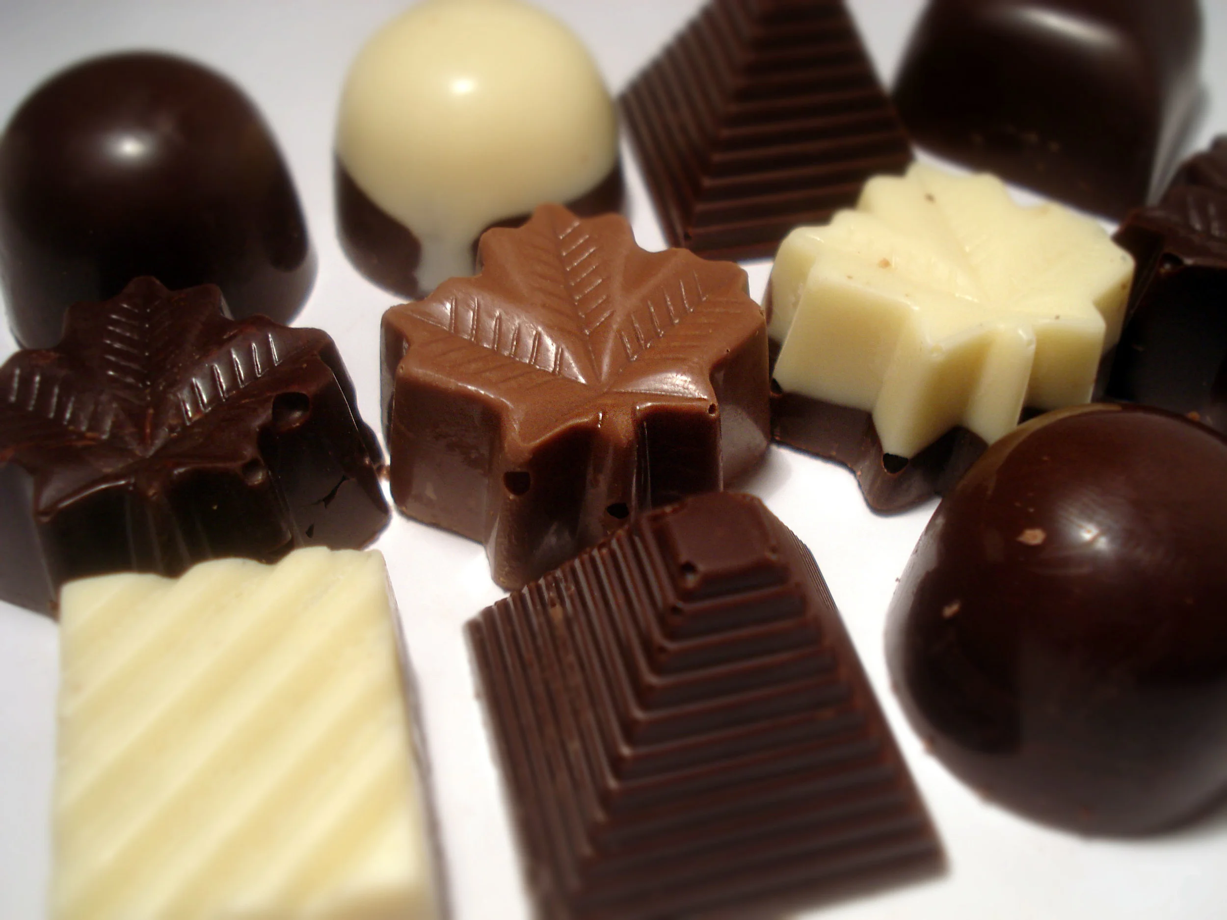 Syrian family dreams of opening chocolate shop in Antigonish