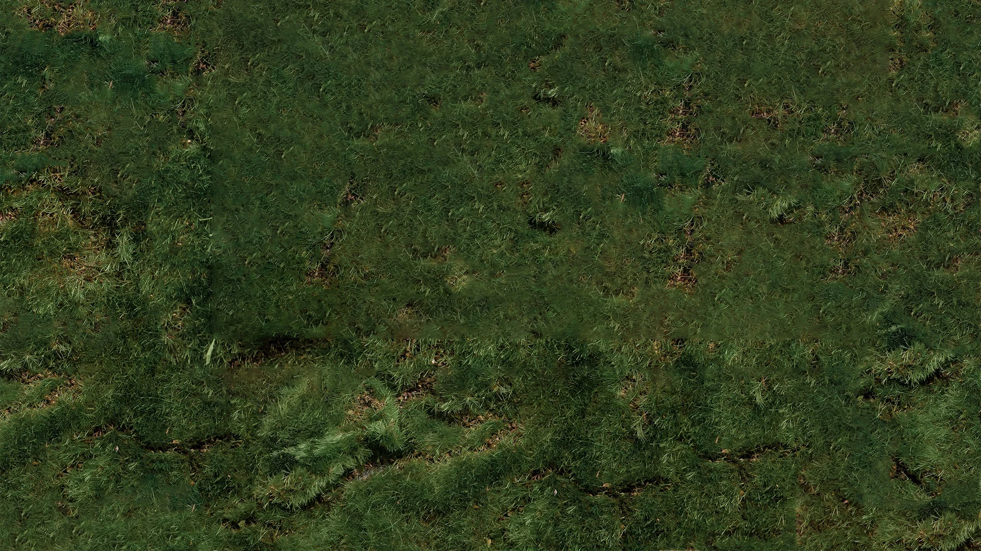 Grass+Background+Insta+Story.jpg