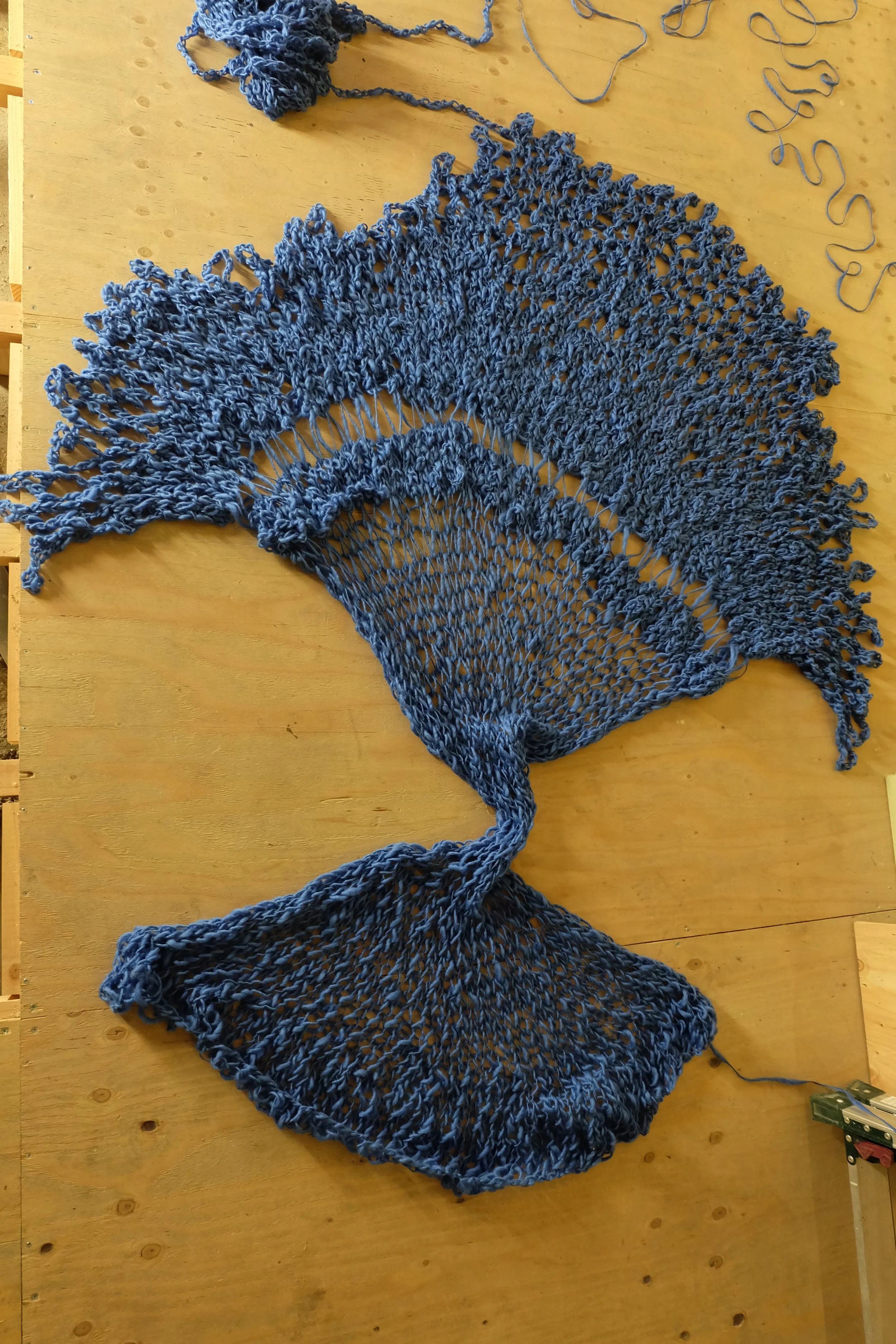DSCF8594.JPG