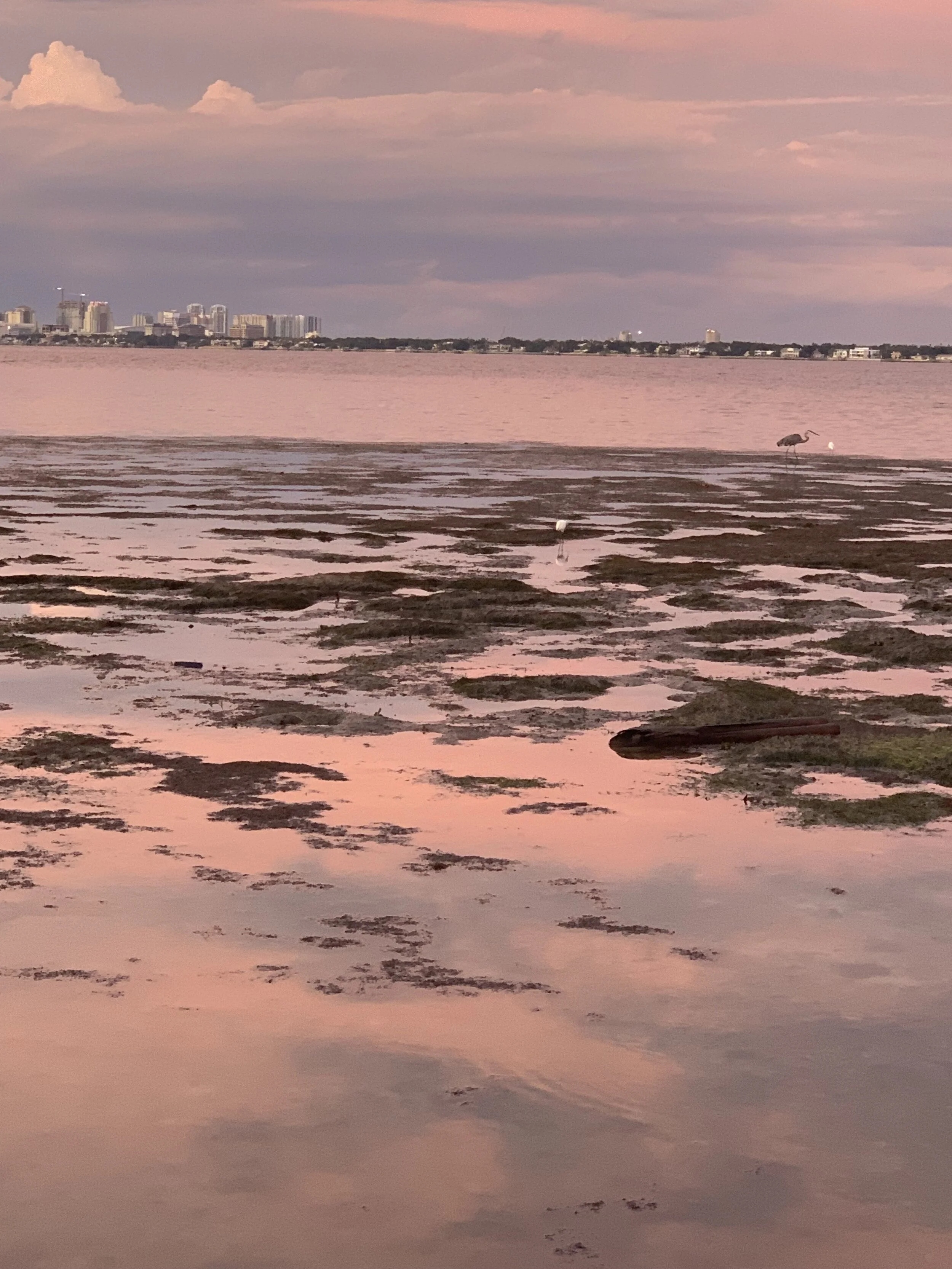 How to Deal With Being an Empath — Kimberly Lackey Interviewed by UpJourney