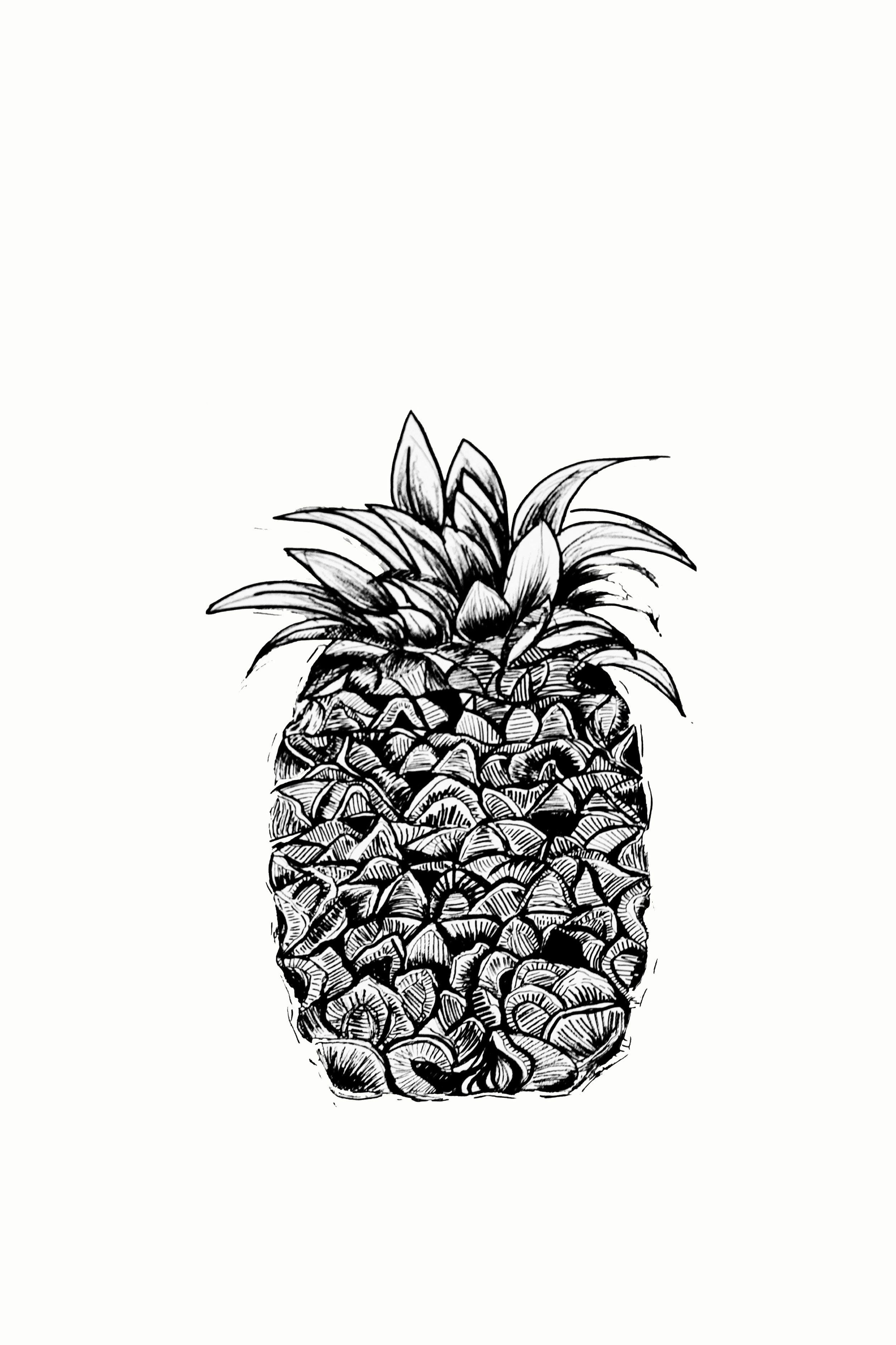 Pinapple.JPG
