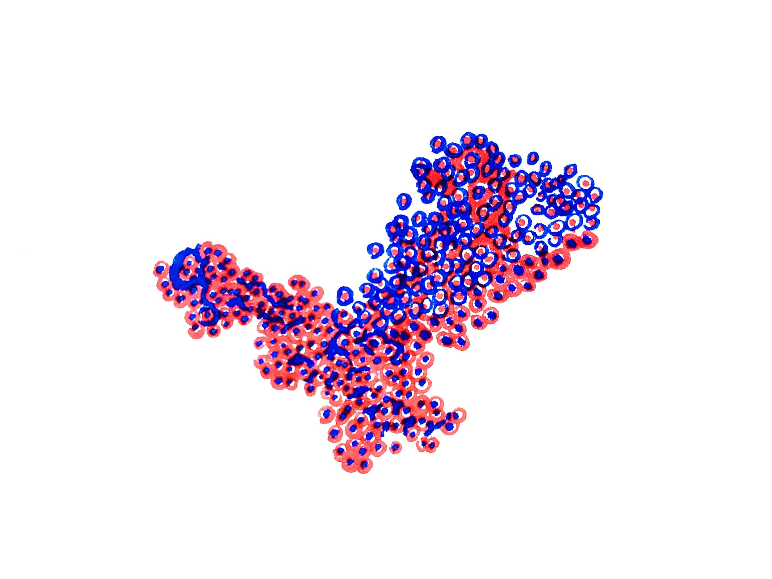 FullSizeRender 13.JPG