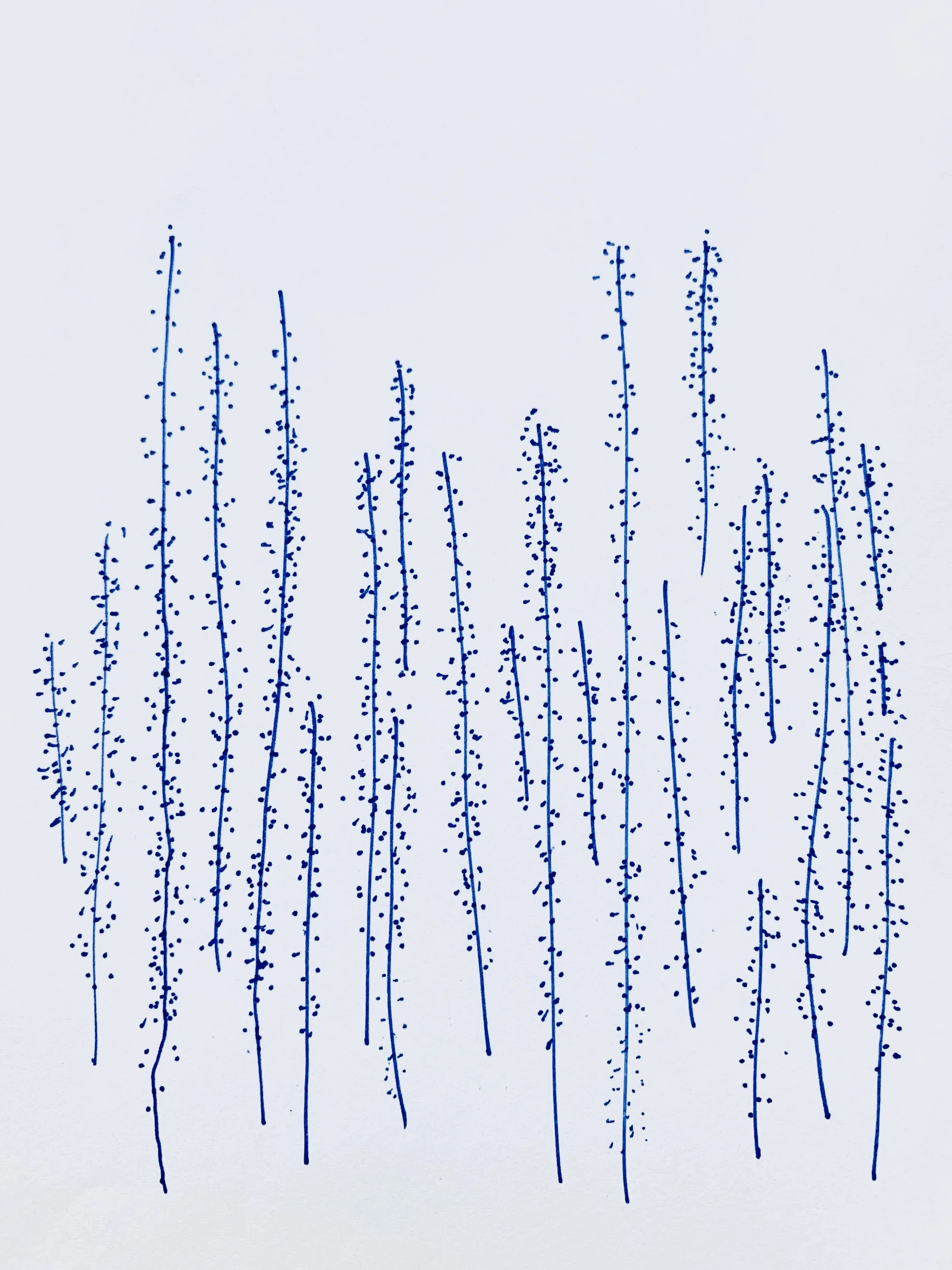 FullSizeRender 5.JPG