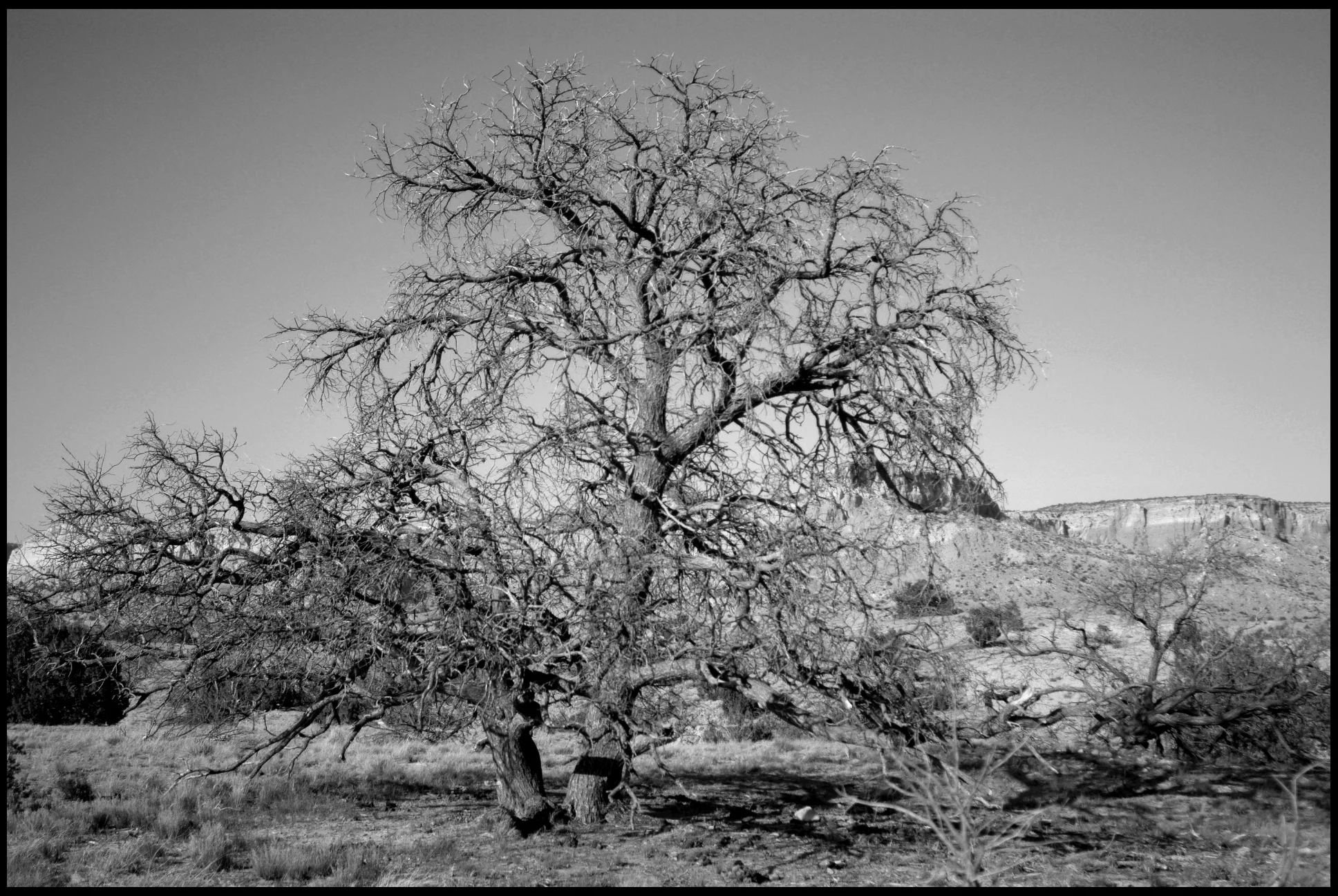 Abiquiu, New Mexico. USA