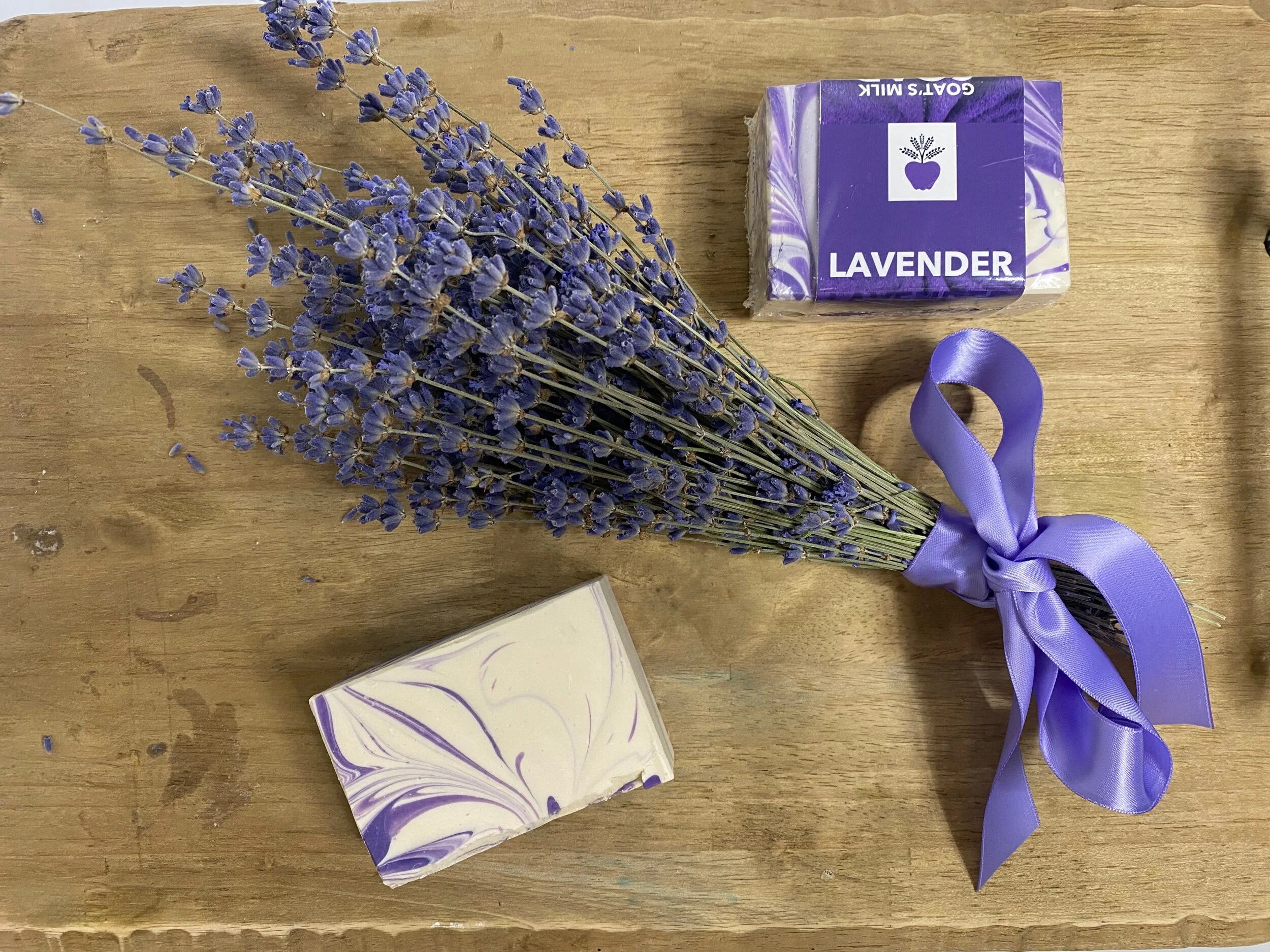 84DAA6E8-C807-403B-BA1A-D94559518263