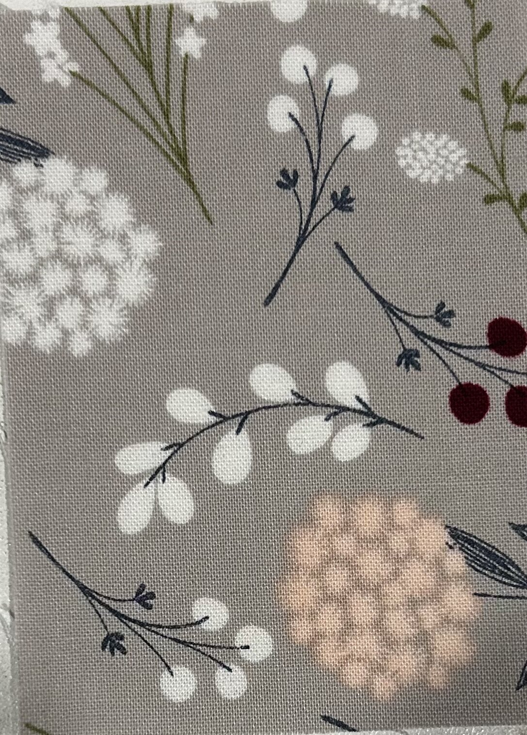 AF813909-178F-49B2-89BF-E85A33B1FC07