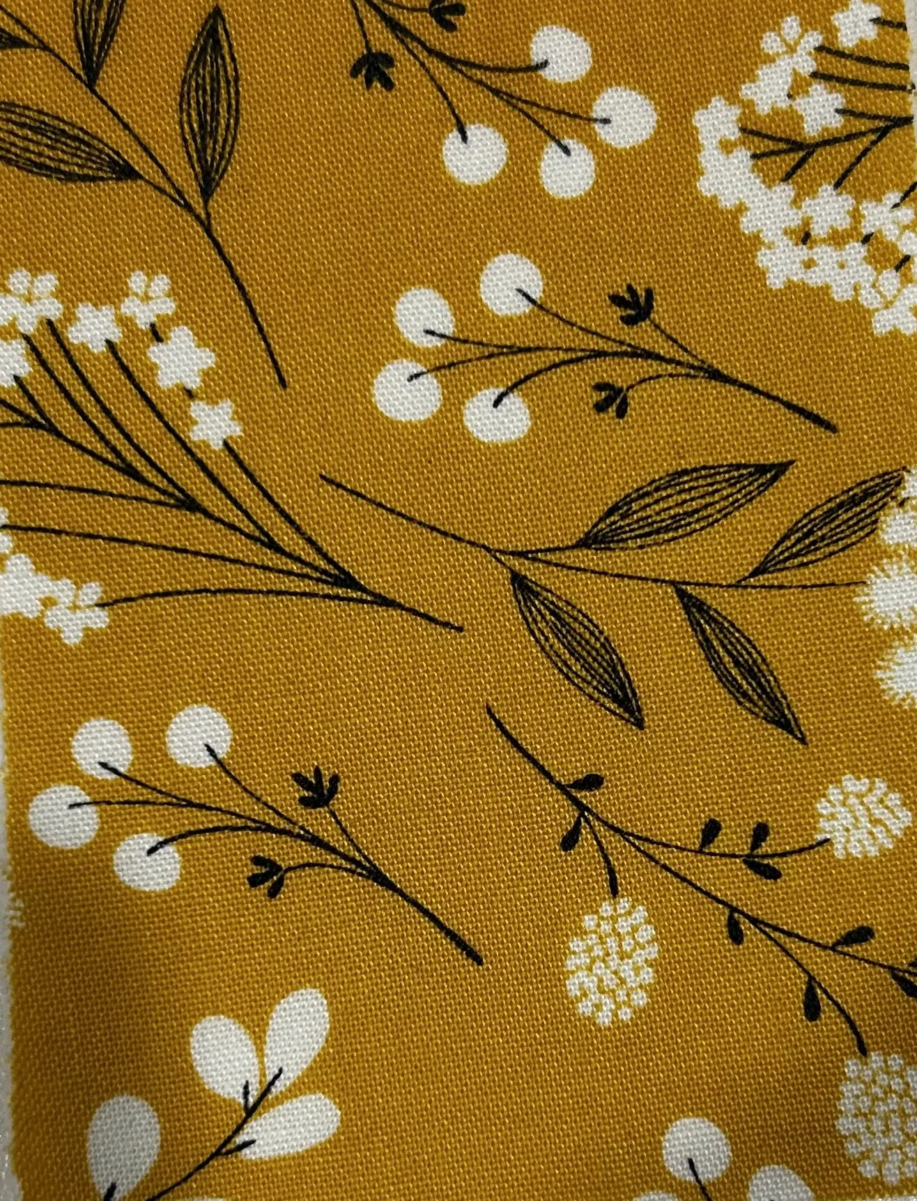 6DF44AD2-5222-487A-AAD1-F7D7E89C8F25