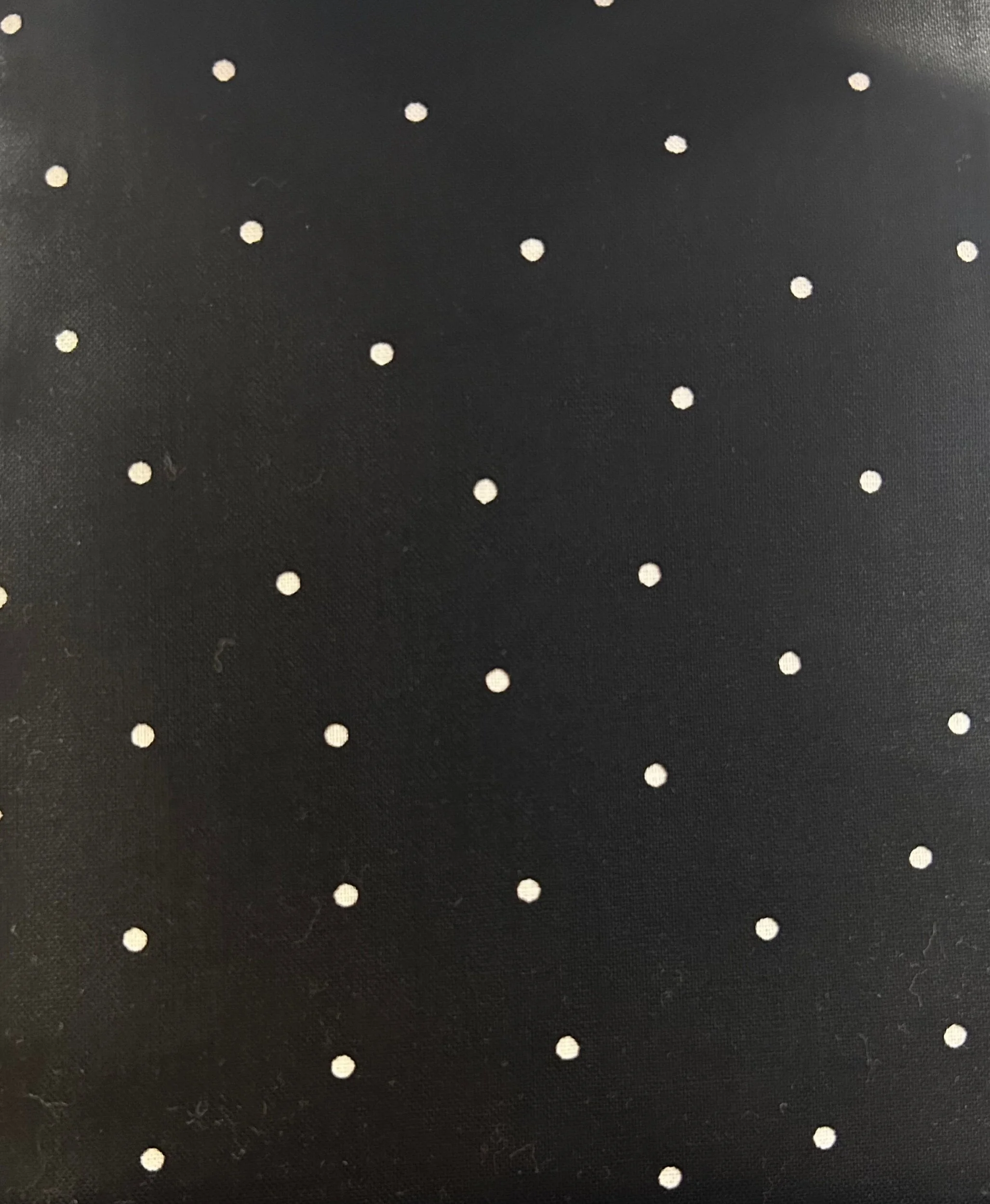 6A79422F-D19F-40F0-B15A-853A6BB83E03