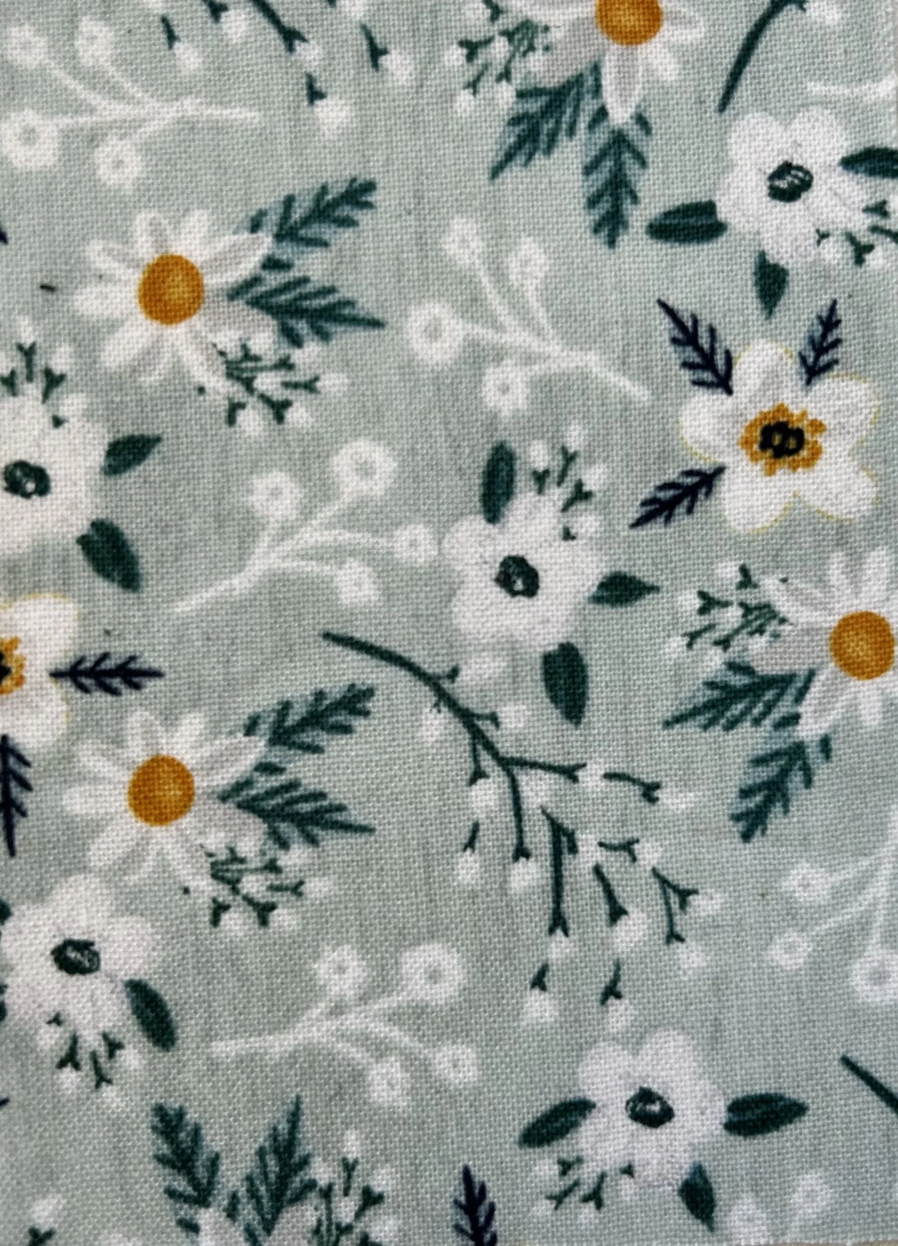 864138C0-0EC2-4267-87AA-79F387E2C043