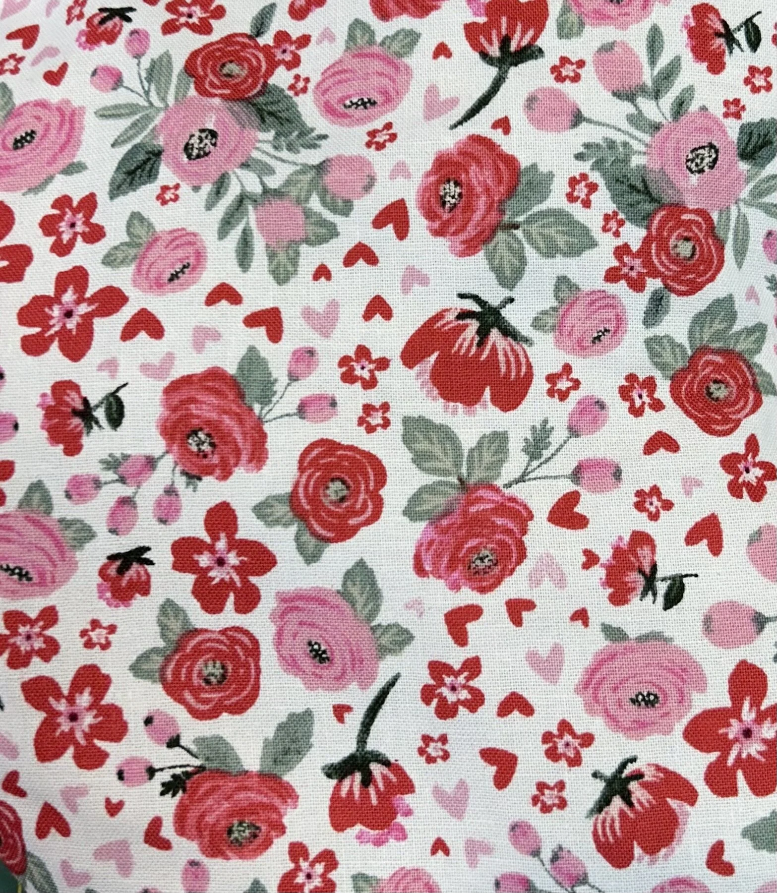 0CDC0501-AF99-4C3A-9A69-043C1312E0D0