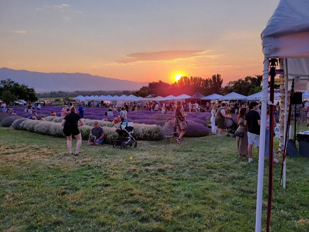 2025 Lavender Festival