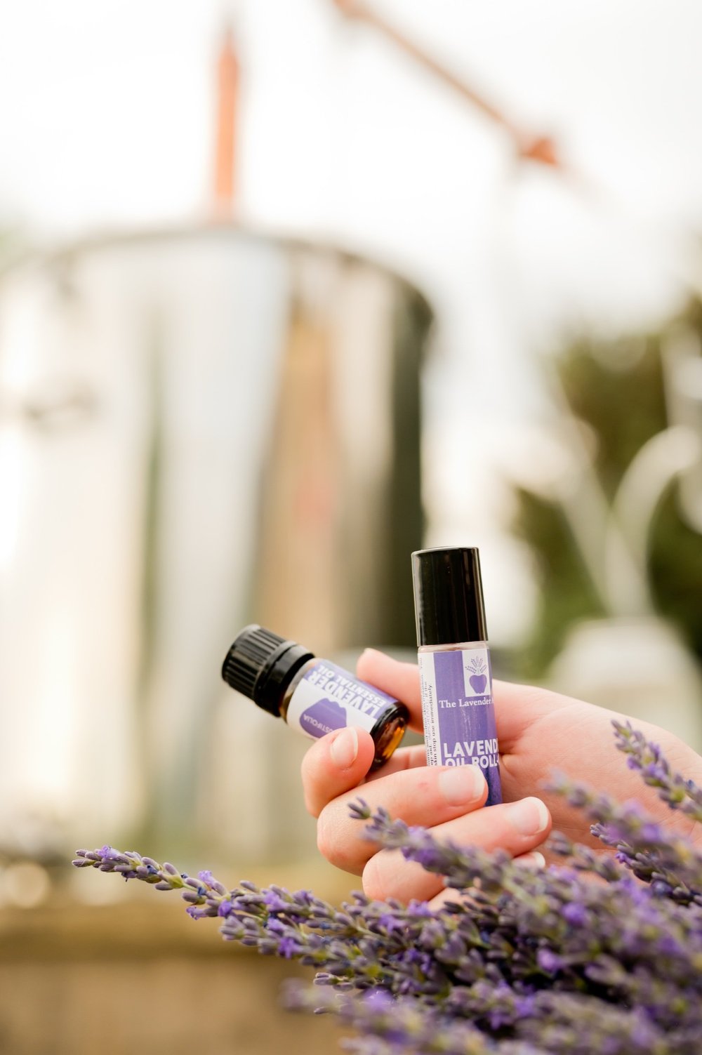 Lavender Roll-on (Angustafolia) 10ml — The Lavender Apple