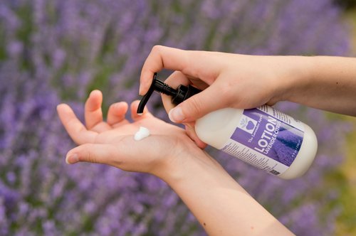Lavender Citrus Lotion 8 fl oz — The Lavender Apple | Lavender Farm