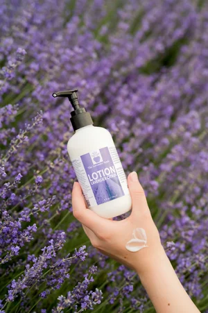 Lavender Citrus Lotion 8 fl oz — The Lavender Apple | Lavender Farm