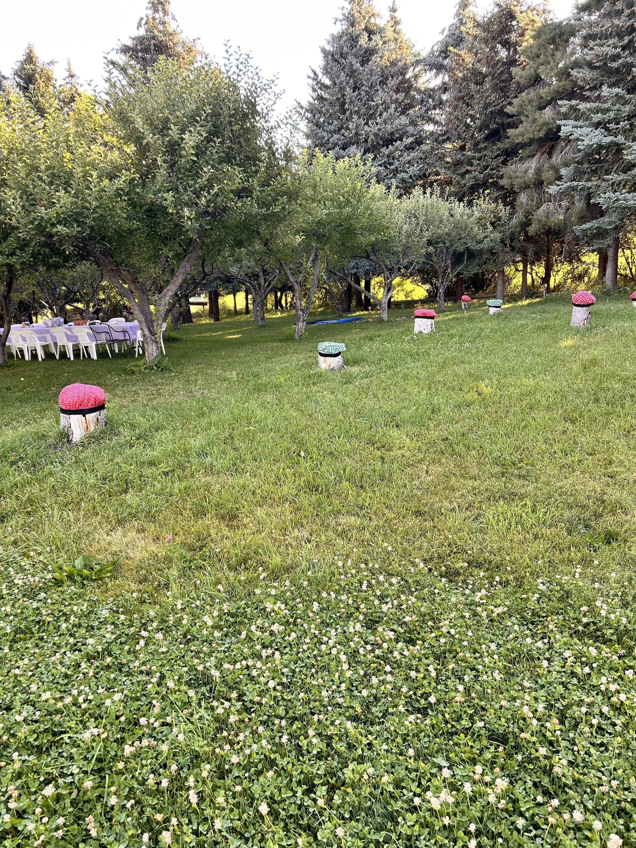Lavender Woodland Daycamps 