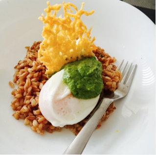Poached Egg on Grains with Pesto and Parmesan Crisp